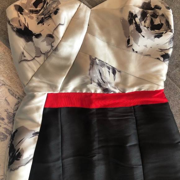 Sachin + Babi Gown, Size 4 - Picture 5 of 8